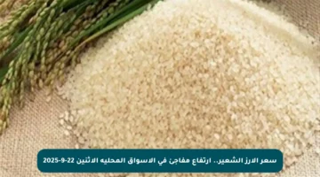 سعر الأرز الشعير.. ارتفاع مفاجئ في الأسواق المحلية الاثنين 22-9-2025